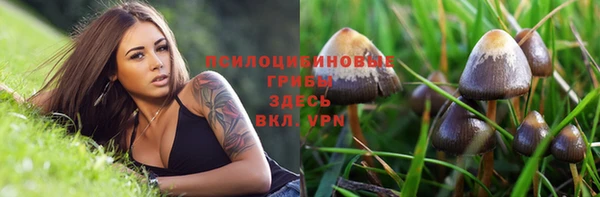 таблы Козловка