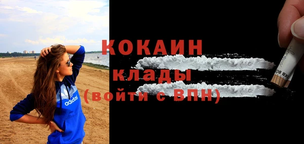 шишки Усолье-Сибирское