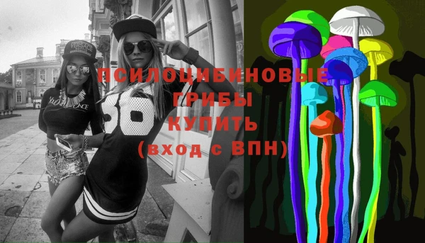 spice Козельск