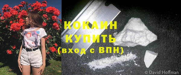 гидропоника Кодинск