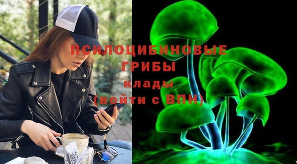 гидропоника Кодинск